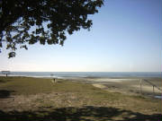 beachmere006.jpg