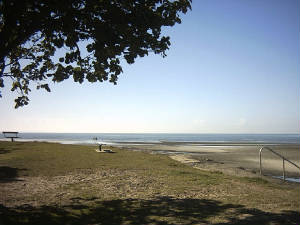beachmere006.jpg
