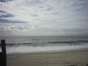 bribie001.jpg
