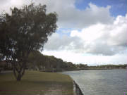bribie016.jpg