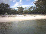 bribie018.jpg