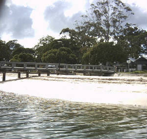 bribie019.jpg