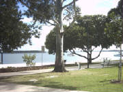 bribie024.jpg