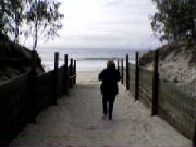 bribie031.jpg