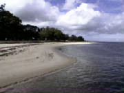 bribie044.jpg