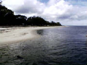 bribie046.jpg