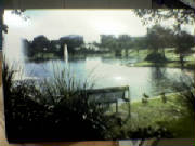 cp022.jpg