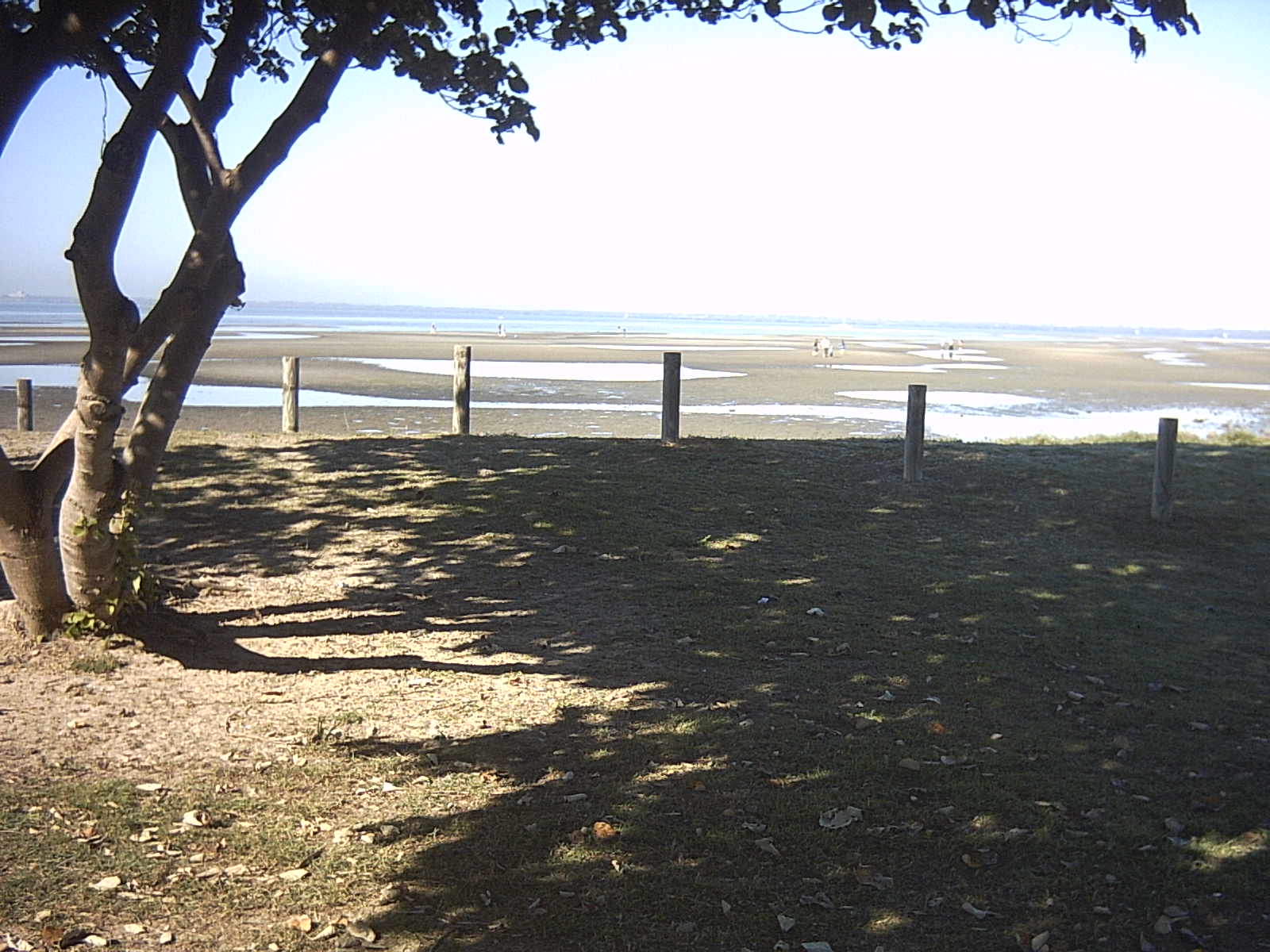 beachmere005.jpg