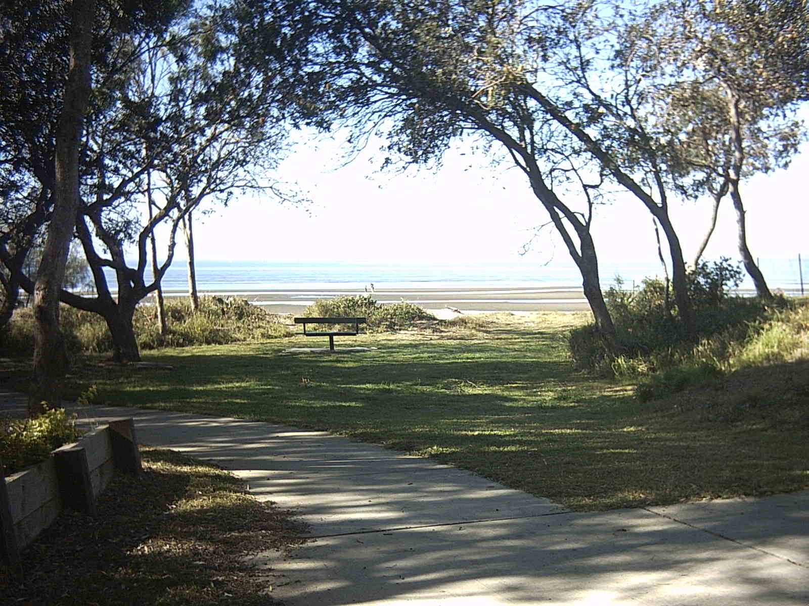 beachmere011.jpg