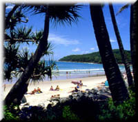 bribie610.jpg