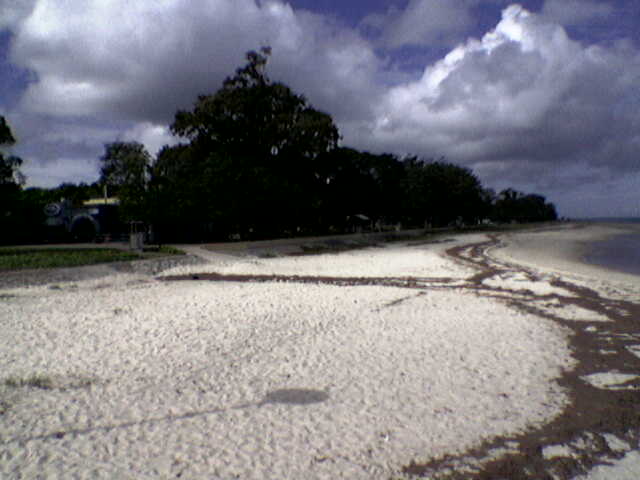 bribieisland043.jpg