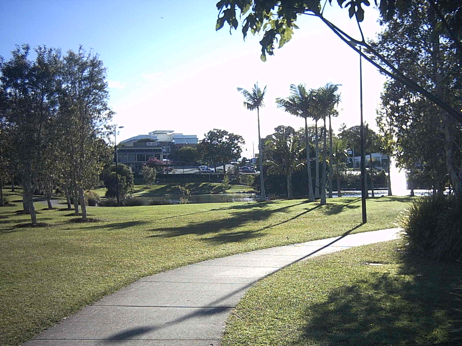 cp006.jpg